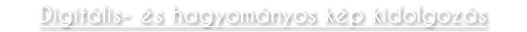 Digitális- és hagyományos kép kidolgozás